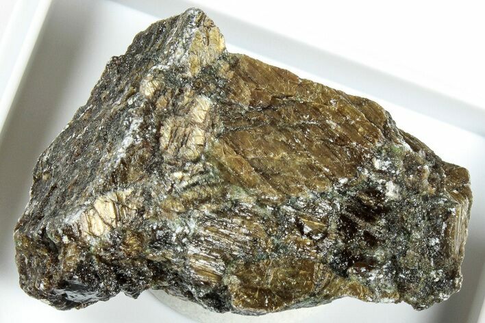 Raw Bronzite (Enstatite) Specimen - Austria #317447
